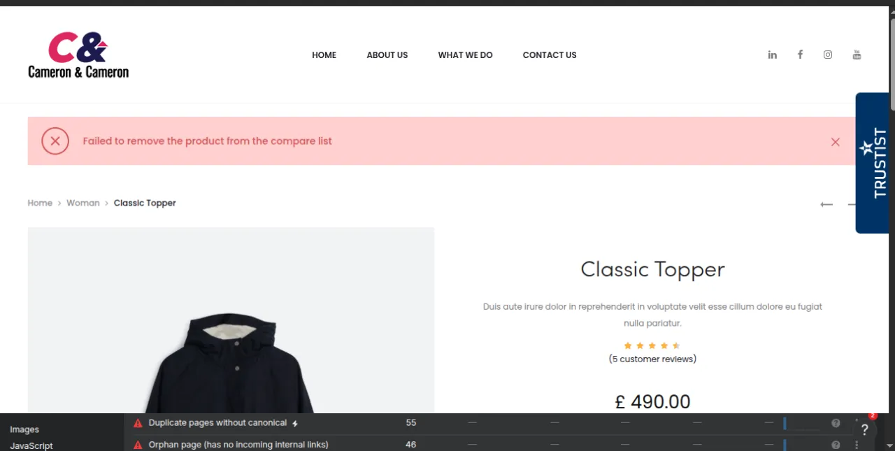 Old site WooCommerce product page — backpack